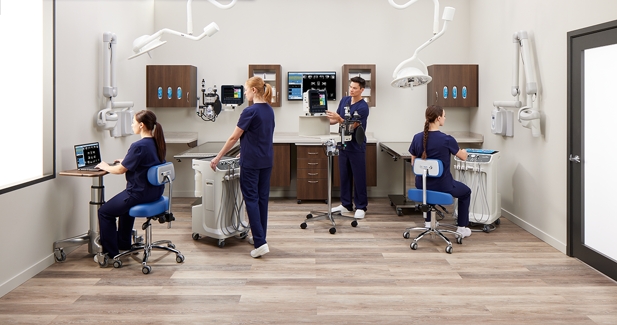 Veterinary staff working in veterinary clinic and observing canine imagery