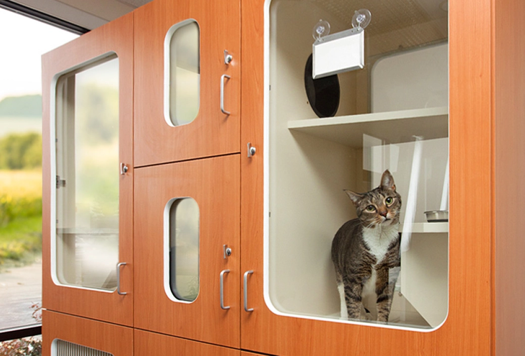 cat in midmark raintree cat condo