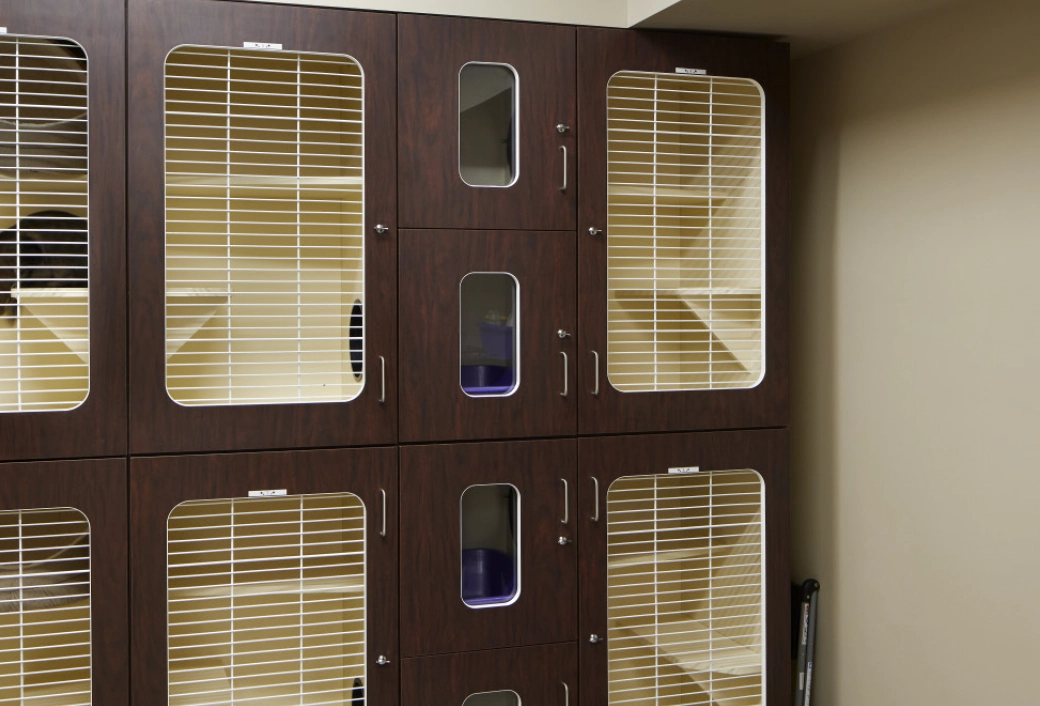 cat-condos-raintree-2