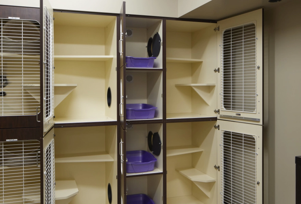 cat-condos-raintree-3