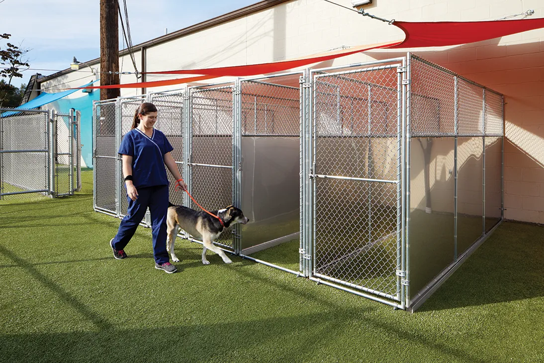 Chain Link Workflow Outdoor