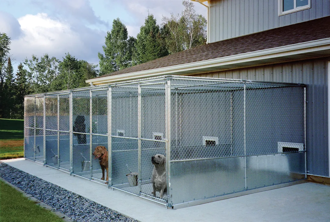 Chain Link Run Dogs