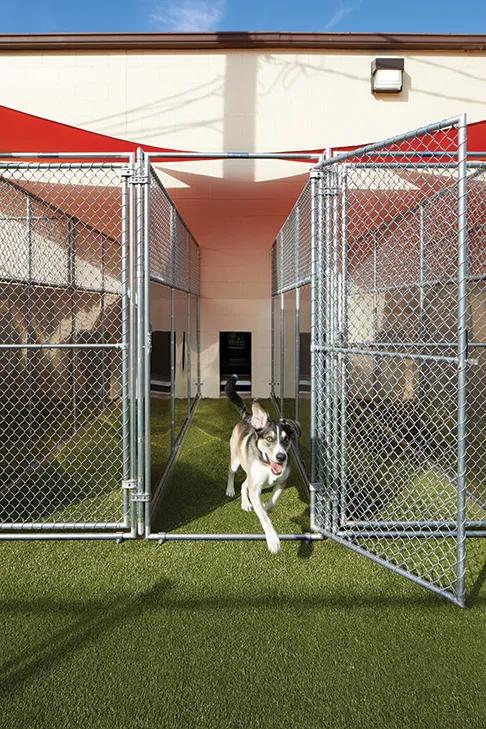 Chain_Link_Transfer_Outdoor_2