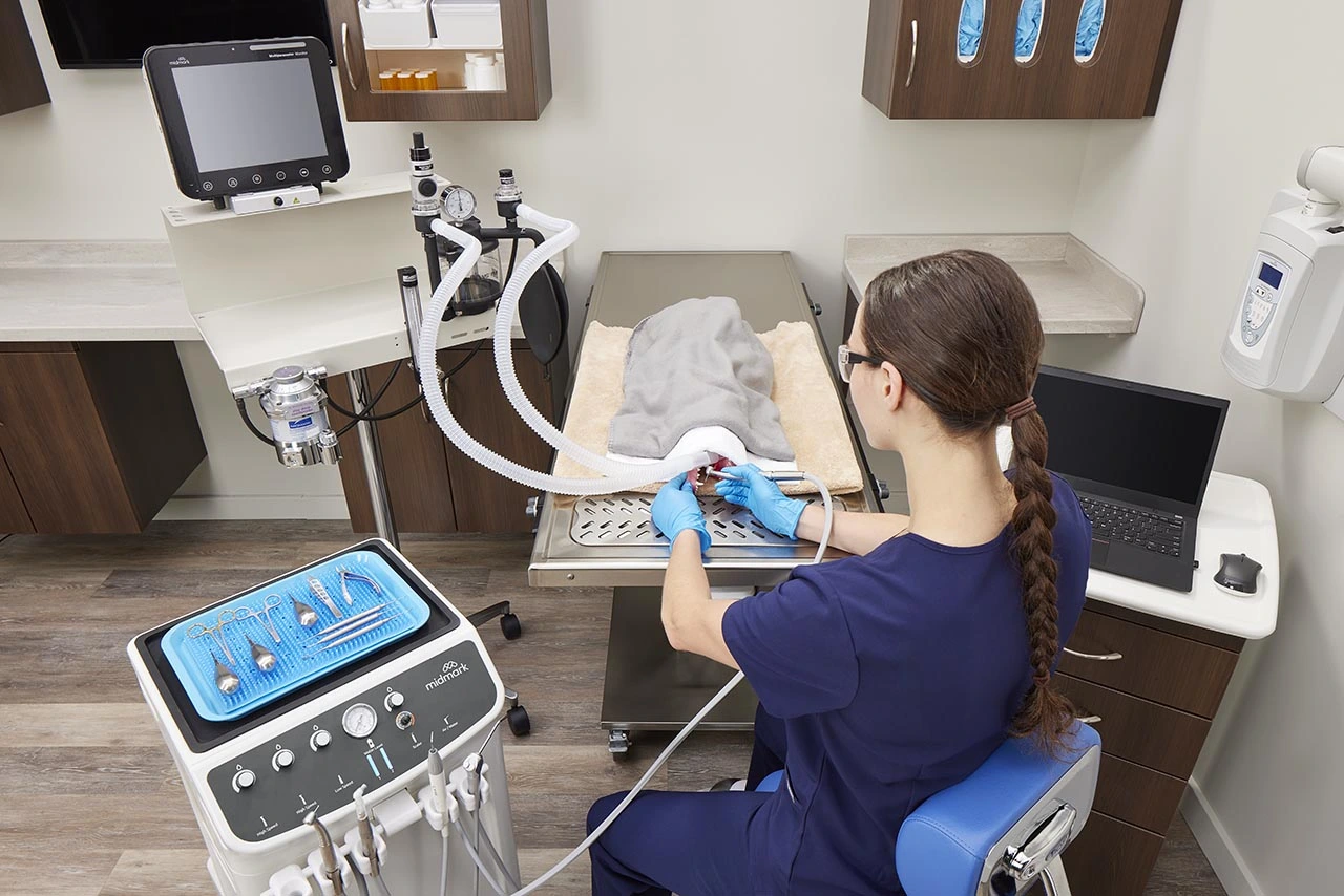 ah-dental-delivery-in-use