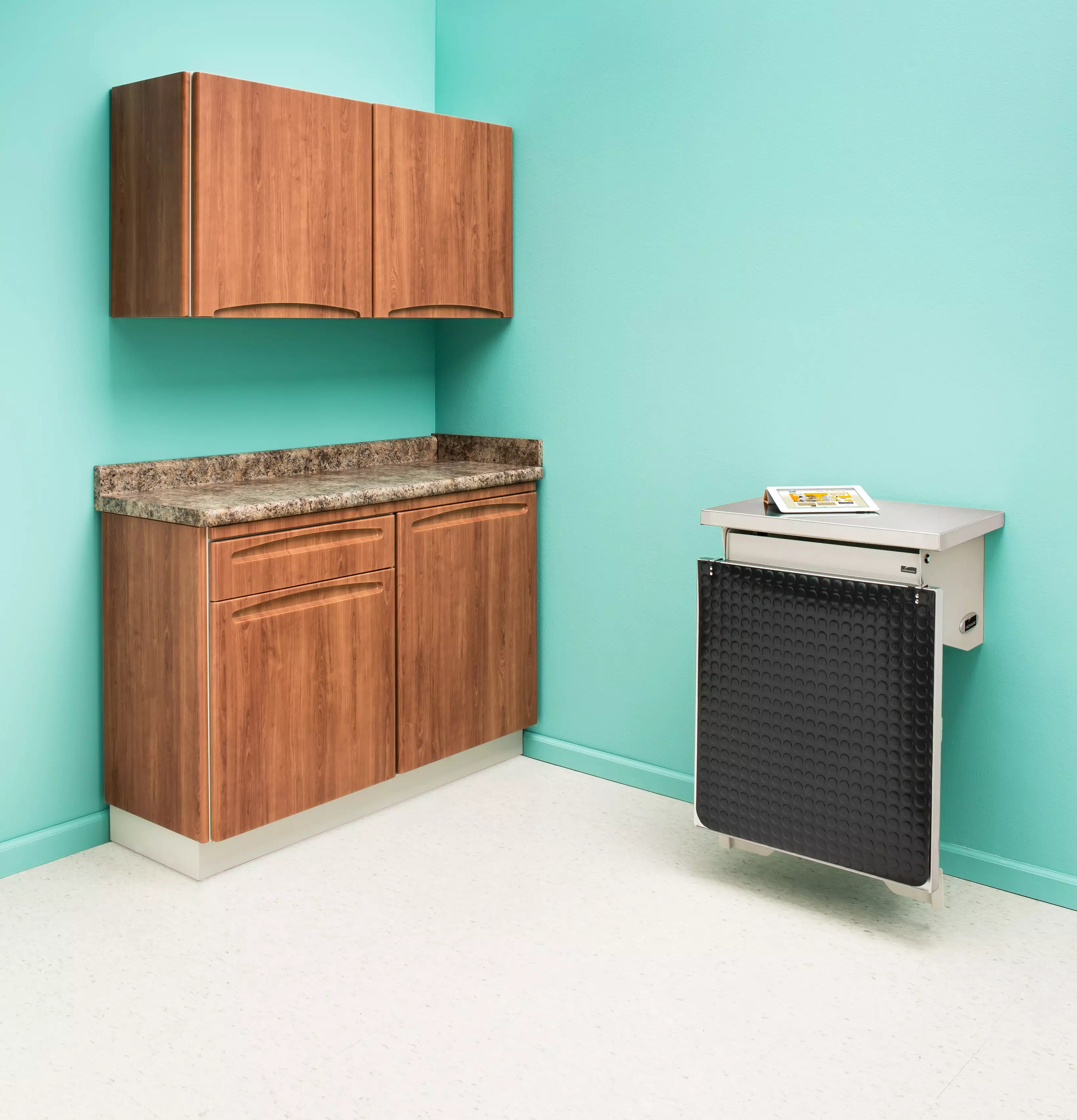 animal-health-folding-exam-table-pic10