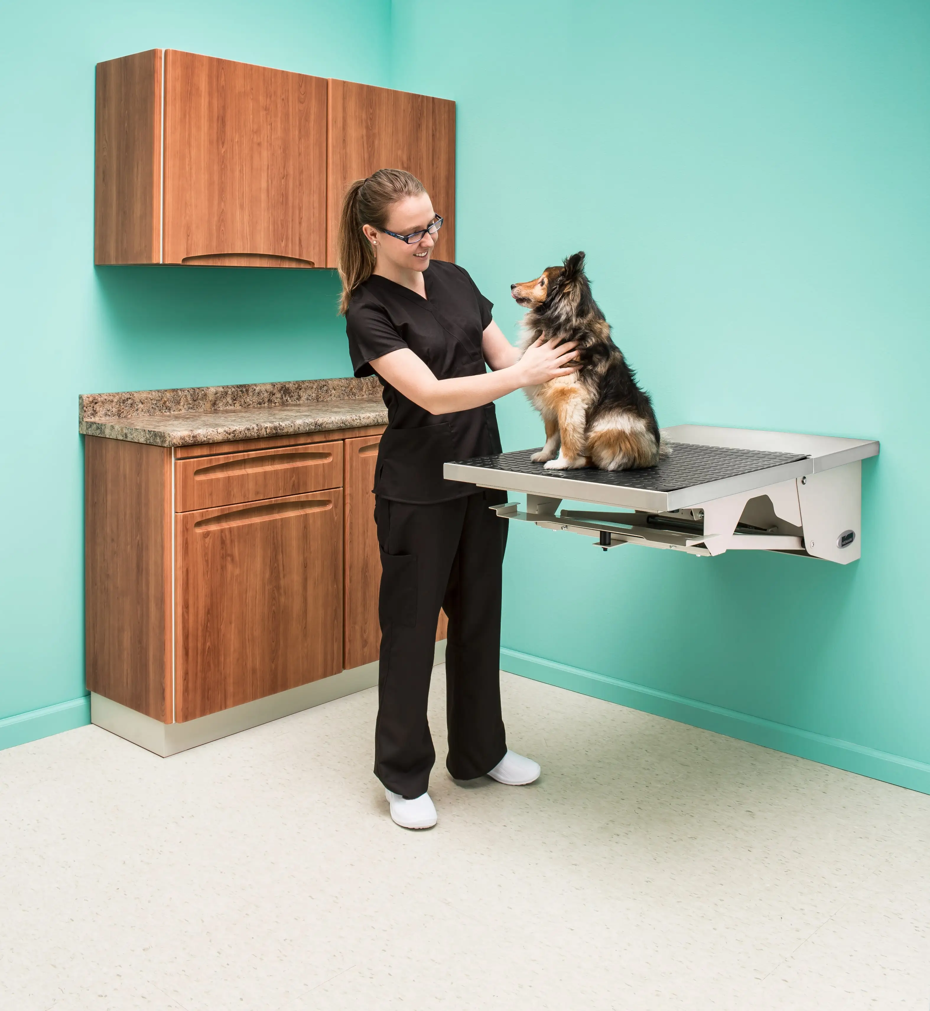 animal-health-folding-exam-table-pic17