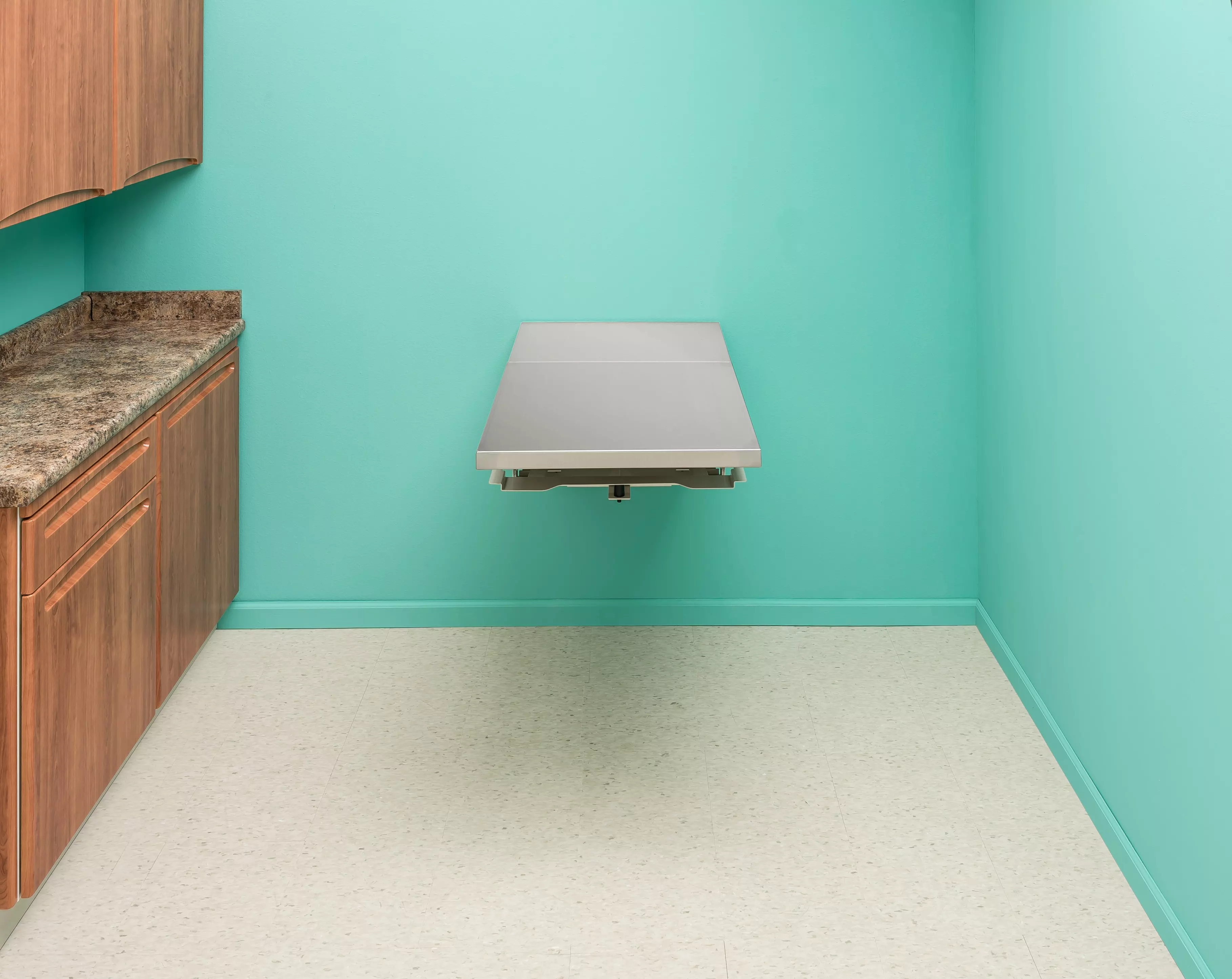 animal-health-folding-exam-table-pic7