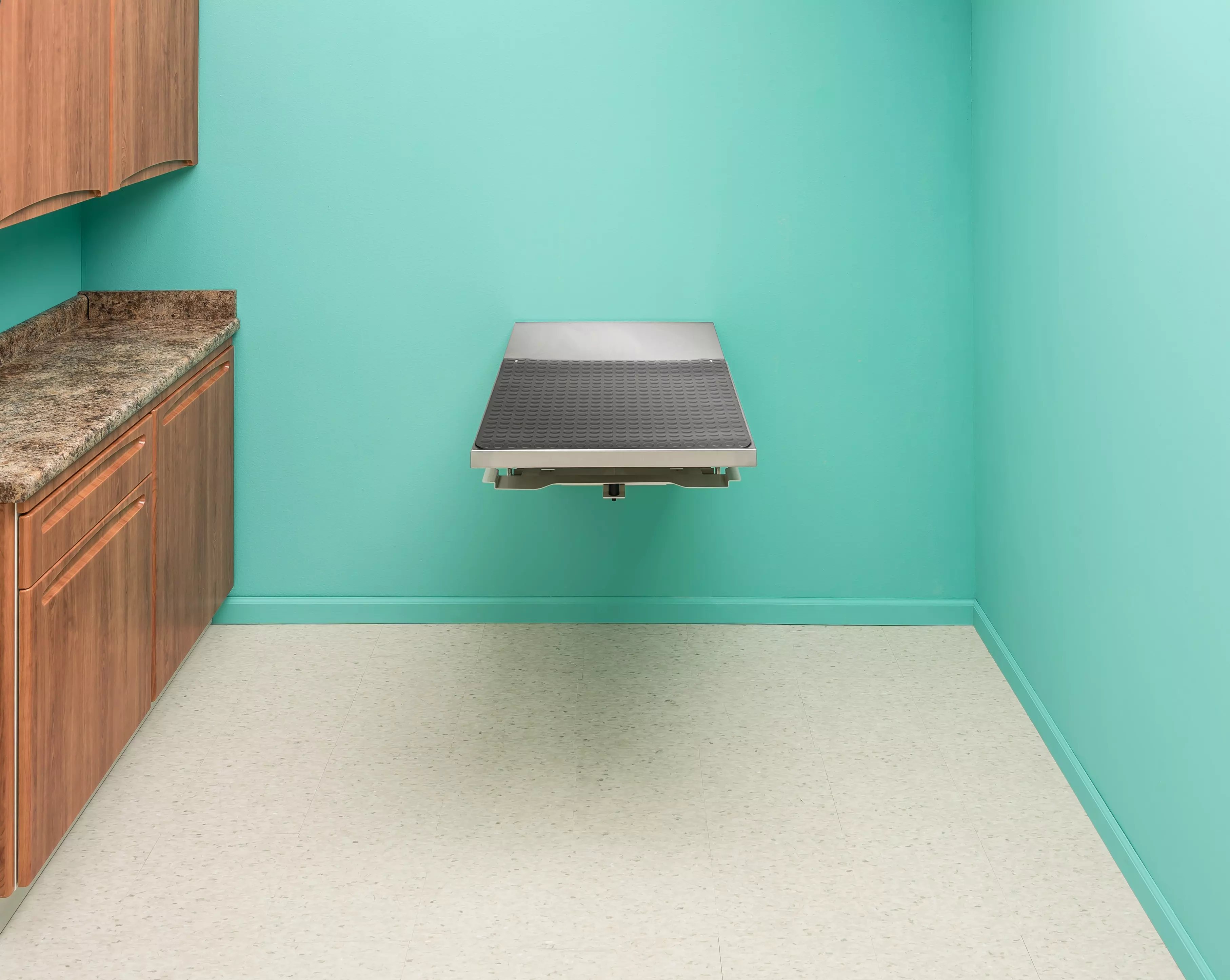 animal-health-folding-exam-table-pic8