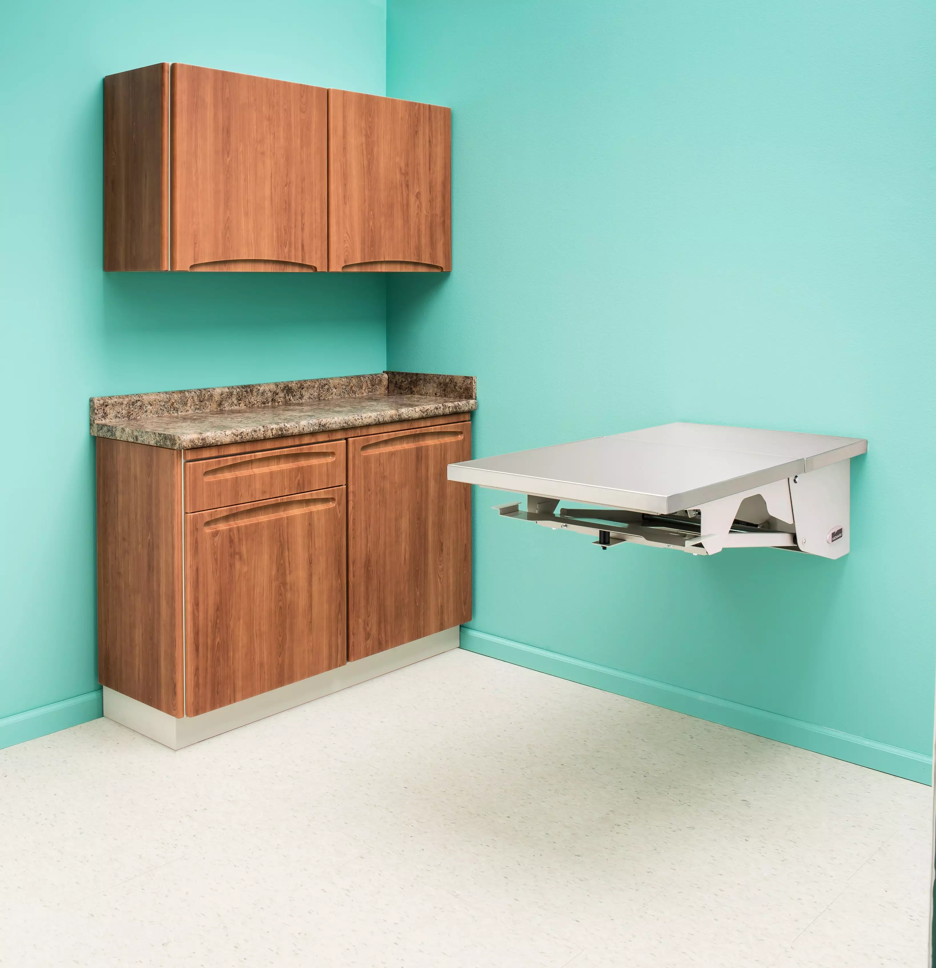 animal-health-folding-exam-table-pic11