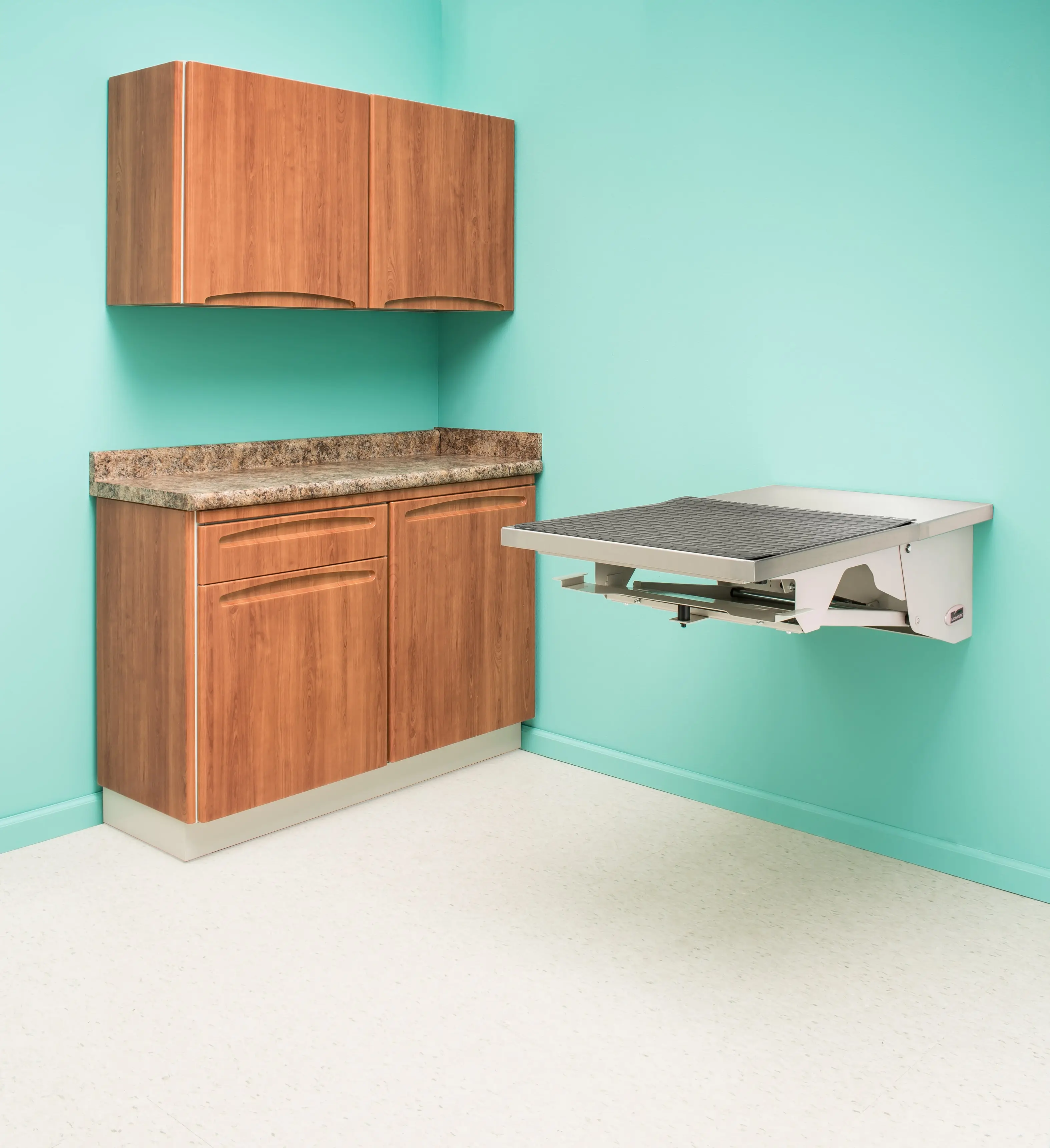 animal-health-folding-exam-table-pic12