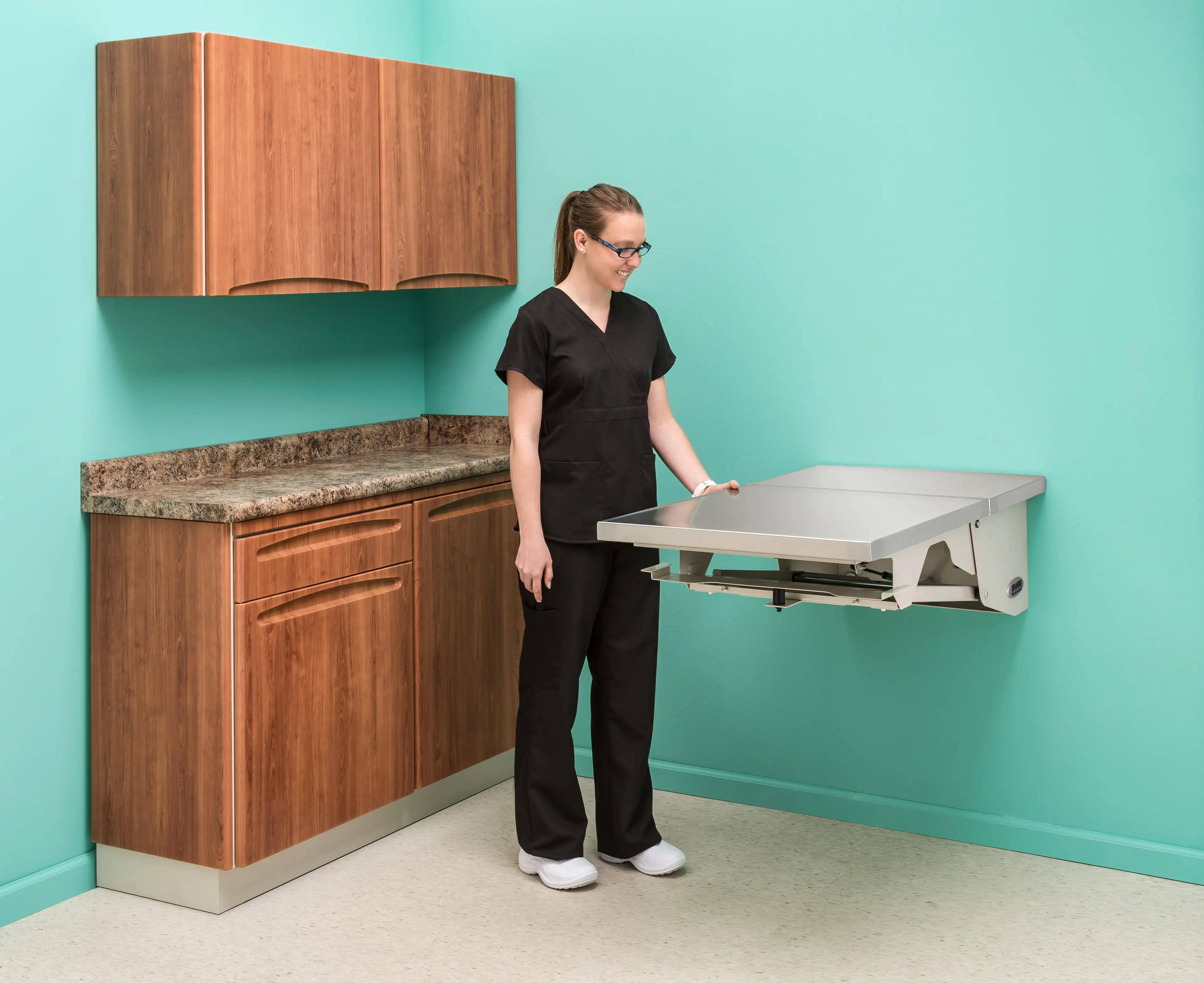 animal-health-folding-exam-table-pic16