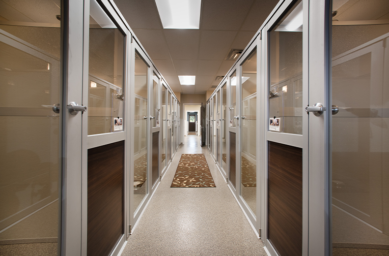 Row of Luxury walk-in dog suites by Midmark