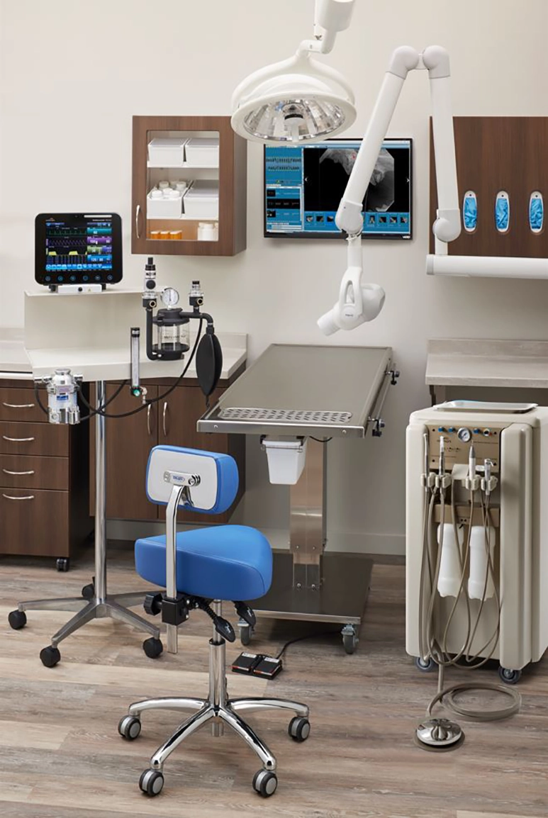 Animal-Health-Dental-Surgery-Room-Set