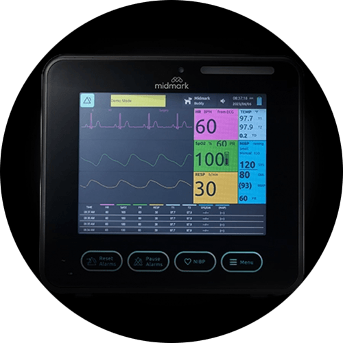 Anesthetic Record Interface