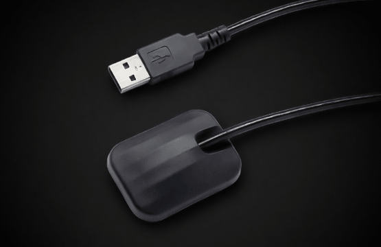 Imaging training on an animal skull