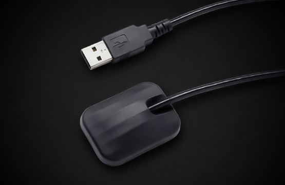 Imaging training on an animal skull