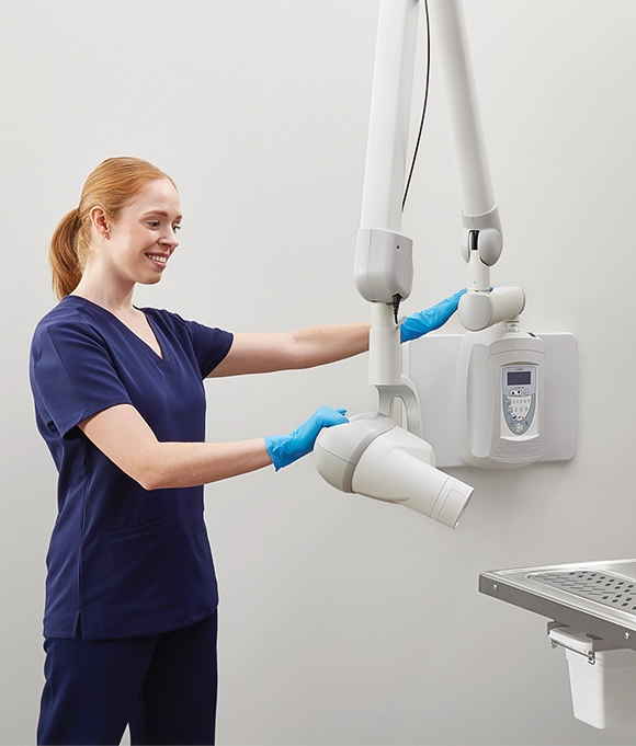 Veterinary radiography positioning training