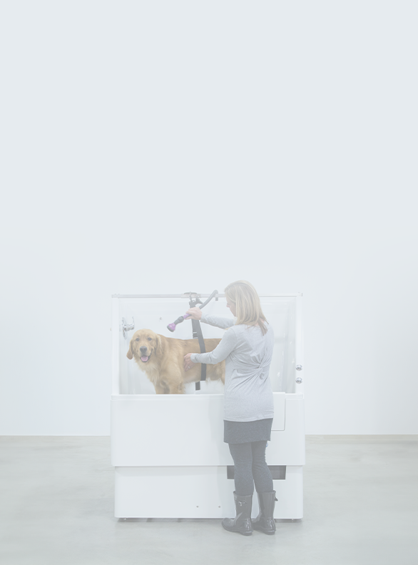 veterinarian washing dog in a grooming tub