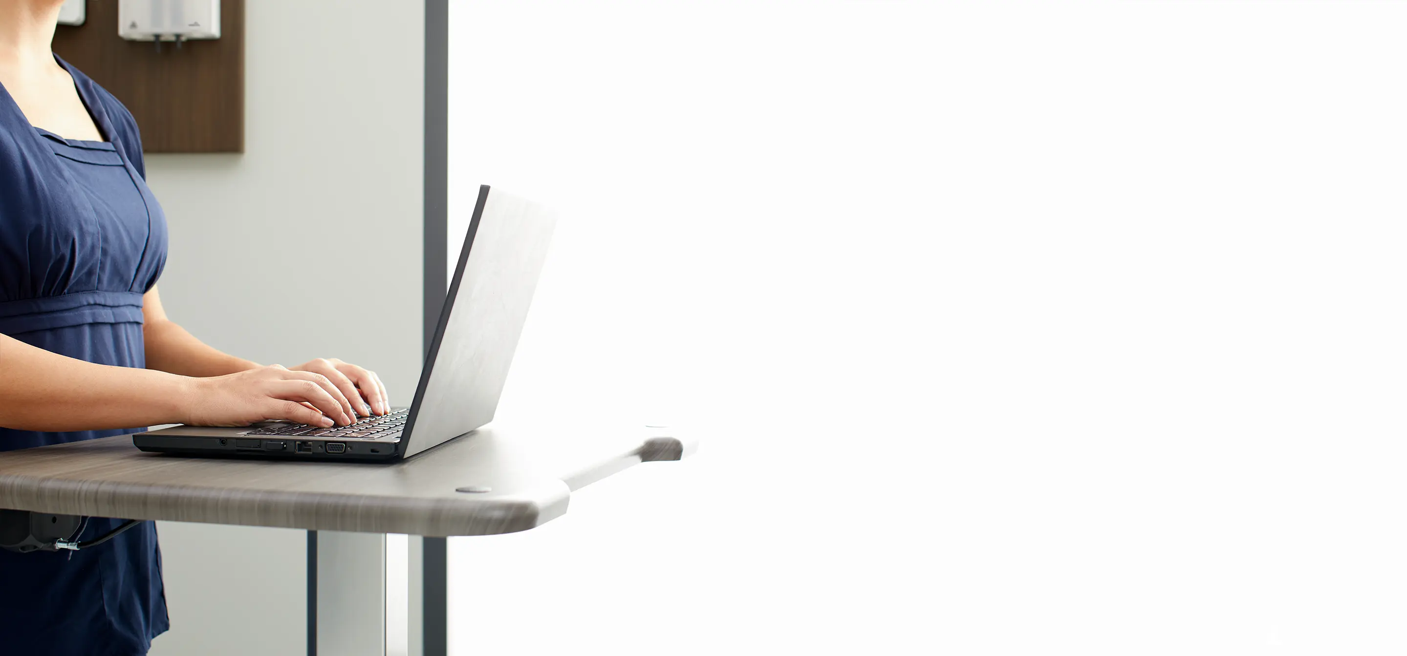 veterinarian typing on laptop