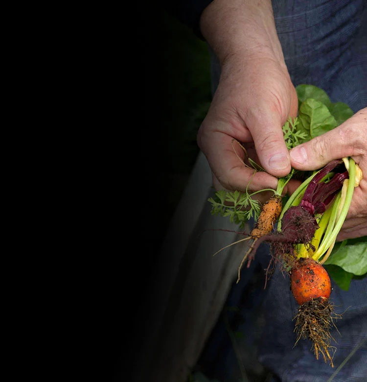 farmer holding fresh picked vegetables