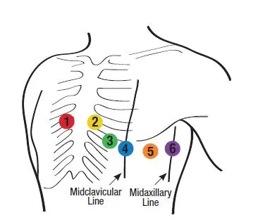 chest diagram